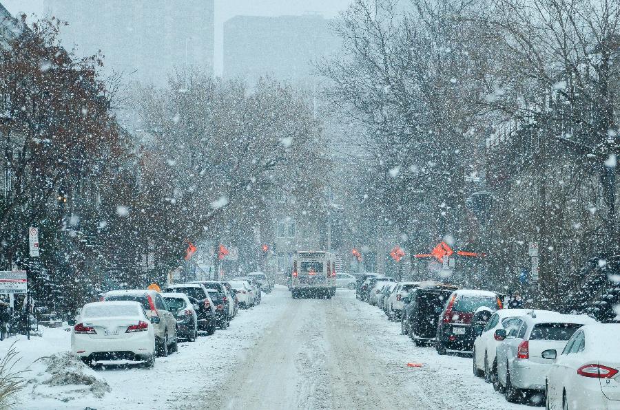 Is It Snowing in Connecticut? A Deep Dive into Autumn Whispers and Winter Dreams
